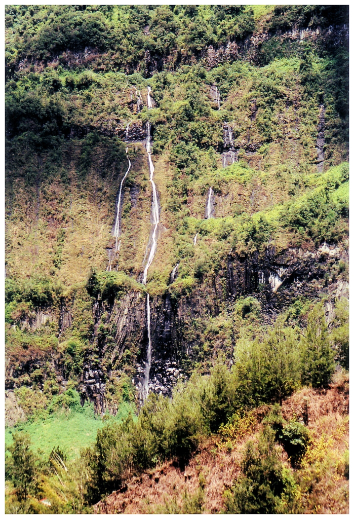 01 - Ile De La Réunion (21).jpg